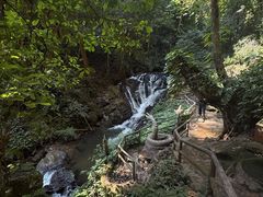 -莫里热带雨林景区