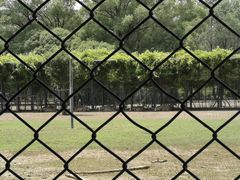 -北京麋鹿生态实验中心