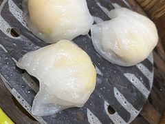 -肥佬夜茶(早茶·西乡店)