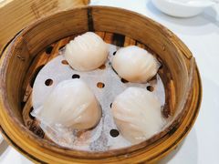 -粤式早茶希朋喜宴