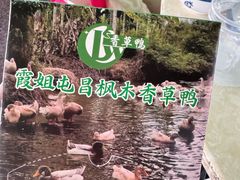 -霞姐屯昌枫木香草鸭店(海螺店)