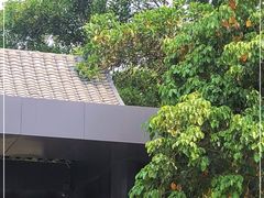 -南丹山森林王国