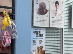 -全心全意连锁动物医院·微创中心·内科急重症·心脏专科(丰管路店)