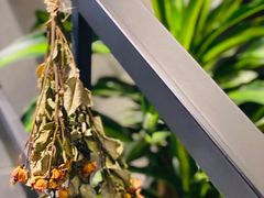 -UMe·玖觅(曲江店)