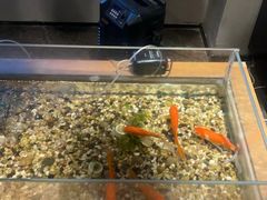 -新盈光·旗舰店(海曙苍松路店)