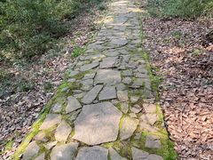 -苏州上方山国家森林公园