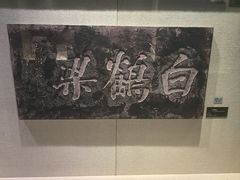 -白鹤梁水下博物馆