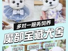 -萌宠之家·腊肠犬·马尔泰·小体犬舍