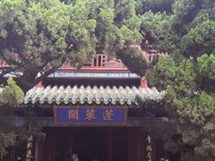 -蓬莱阁景区