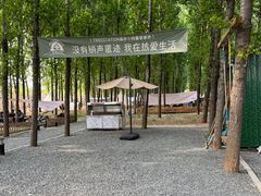 门面-森林小栈TreeStation露营基地