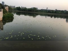 -江南大学(蠡湖校区)