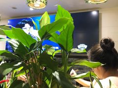 -庆合府重庆大排档(紫都城店)