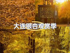 -日本风情街