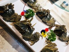冰潭醉蟹-金海湾海鲜总店