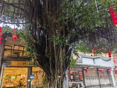 -三坊七巷历史文化街区