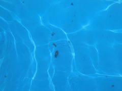 -西安华夏文旅水世界