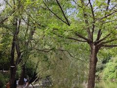 -九如山休闲旅游度假区