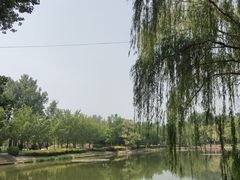 -中卫御苑福膳·养生局(圆明园店)