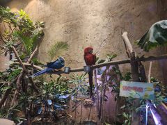 -杭州开元森泊度假乐园