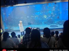 -顺德南宏海立方海洋公园