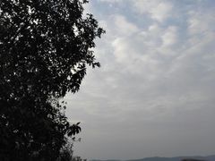 -火炉山森林公园