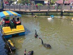 -无锡动物园·太湖欢乐园