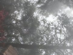 -少华山国家森林公园