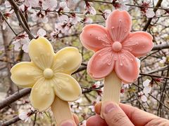 -桃花堤公园