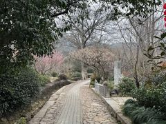 -雨花胜境