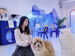 -Blue Concept Cafe&Farm·關於藍