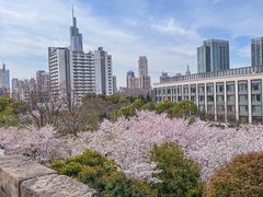 -南京城墙景区