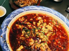 -新概念来凤鱼(璧山店)