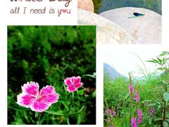 -百里峡七彩艺术小镇