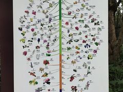 -杭州植物园