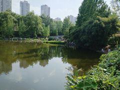 -重庆彩云湖湿地公园