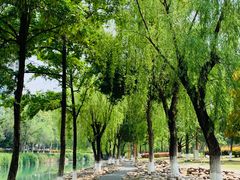 -沙河三洞古桥公园