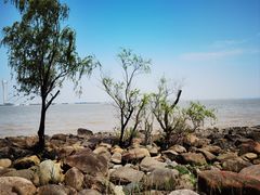 -上海吴淞炮台湾国家湿地公园