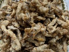 -小山东羊肉汤馆(同济新村店)