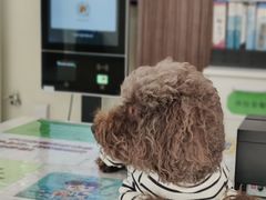 -美联众合动物医院·24h京西诊疗中心