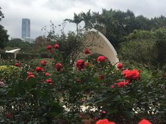 -人民公园(罗湖区)