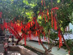 -小洲村