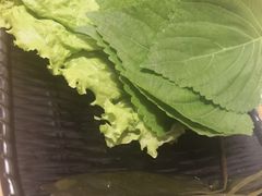 -百年食客韩式烤肉(南三环店)
