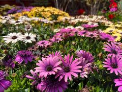 -狼山风景名胜区