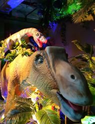 -恐龙探索乐园(磁器口店)