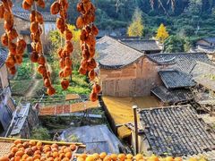 -杨家堂村