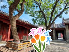 -沧州文庙