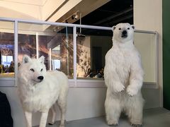 -上海中国航海博物馆