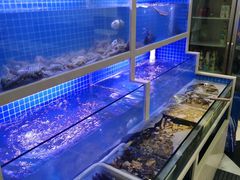-威海渔村(静安旗舰店)