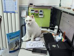 -纳吉亚猫专科动物医院·北北分院