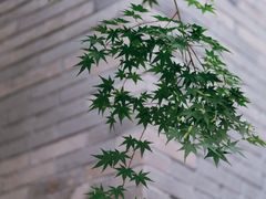 -颐和路民国时期公馆风貌区
